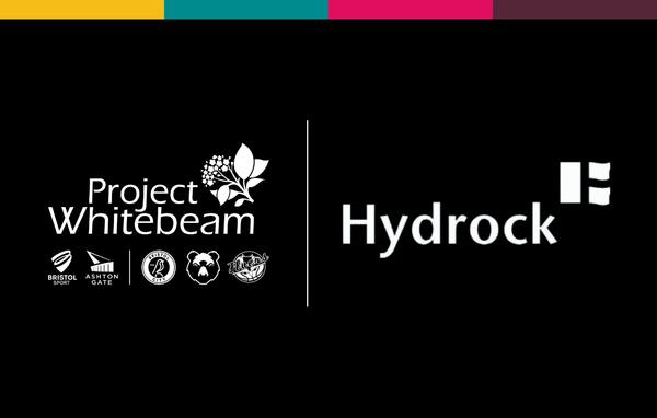 Hydrock Partner Website thumbnail
