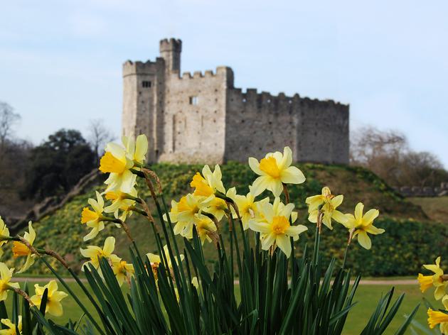 Cardiff castle