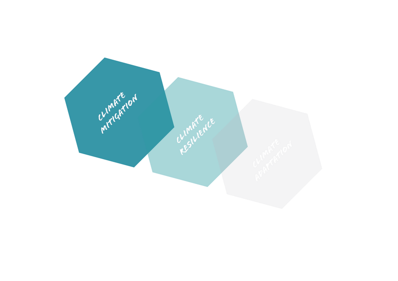 Climate Adaptation Diagram