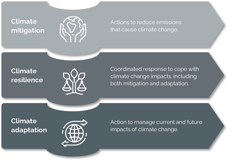 Climate mitigation resilience and adaptation