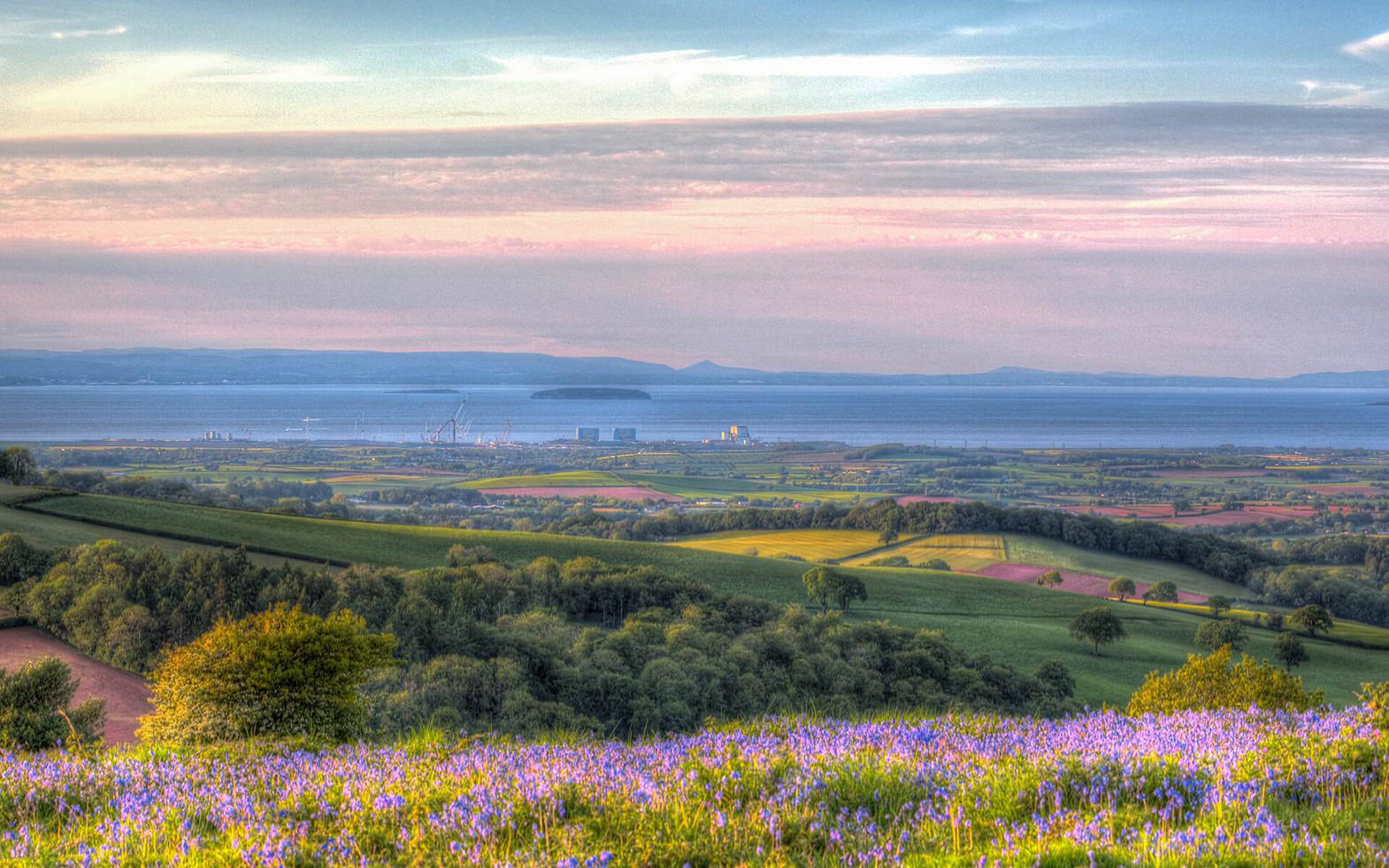 Nuclear power and environment landscape