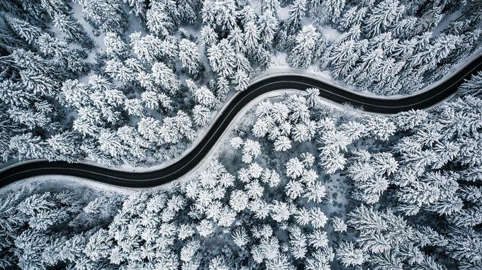 Road cleared through snowy forest